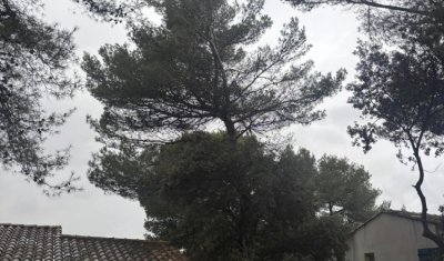 Abattage d'un arbre penchant dangereusement sur une maison à Aix-en-Provence