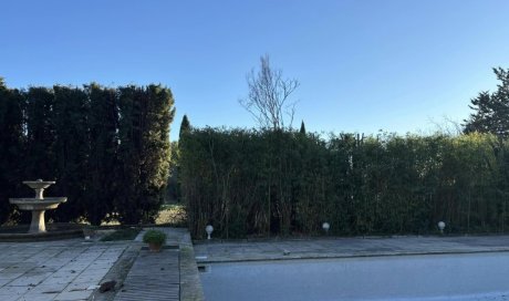 Taille des haies avec précision vers Aix-en-Provence et sa région.