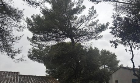 Abattage d'un arbre penchant dangereusement sur une maison à Aix-en-Provence
