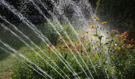 Arrosage automatique après aménagement de jardin à Aix-en-Provence