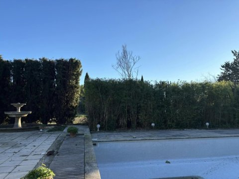 Taille des haies avec précision vers Aix-en-Provence et sa région.