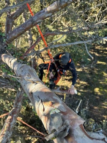 Votre Paysagiste Elagueur Grimpeur aux alentours de Gardanne 