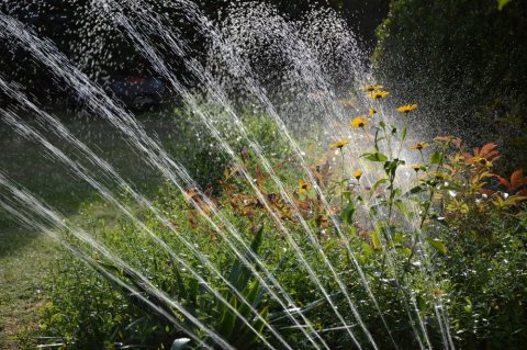 Arrosage automatique après aménagement de jardin à Aix-en-Provence