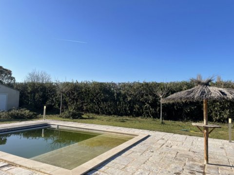 Entretien de jardin avec taille de Haie vers Aix-en-Provence