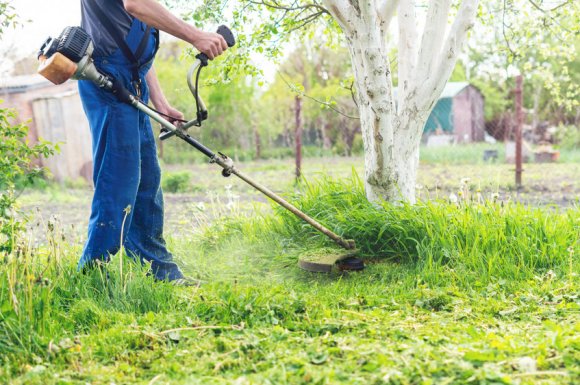 À qui faire appel pour la remise en état d'un jardin public ?