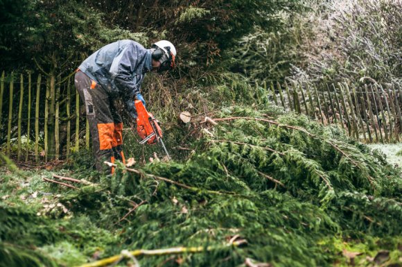 À qui faire appel pour l'élagage d'un arbre dangereux ?