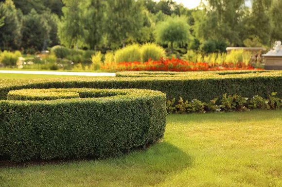 Aménagement et entretien des espaces verts publics - Pertuis - MPM PAYSAGE