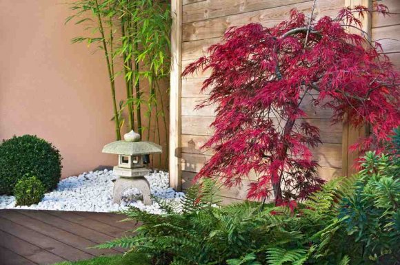 Création d'un jardin zen japonais chez un particulier - vers Aix-en-Provence- MPM PAYSAGE