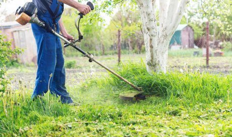 À qui faire appel pour la remise en état d'un jardin public ?