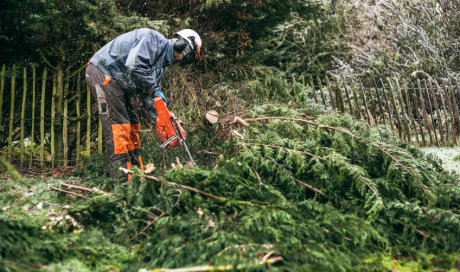 À qui faire appel pour l'élagage d'un arbre dangereux ?