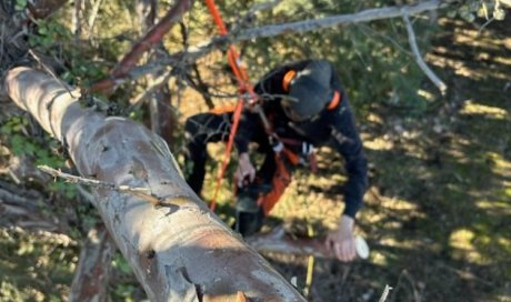 Votre Paysagiste Elagueur Grimpeur aux alentours de Gardanne 