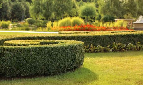 Aménagement et entretien des espaces verts publics - Pertuis - MPM PAYSAGE