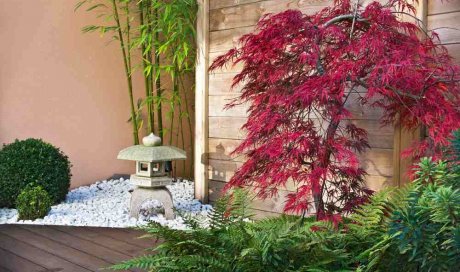 Création d'un jardin zen japonais chez un particulier - vers Aix-en-Provence- MPM PAYSAGE