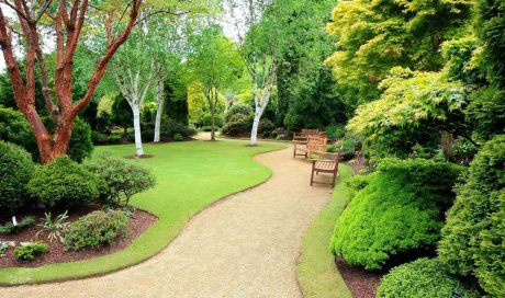 Remise en état d'un jardin public laissé à l'abandon - vers Aix-en-Provence - MPM PAYSAGE