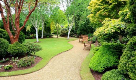 Remise en état d'un jardin public laissé à l'abandon - Pertuis - MPM PAYSAGE