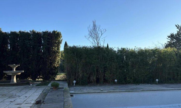 Taille des haies avec précision vers Aix-en-Provence et sa région.