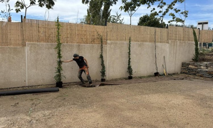 Création complète de jardin à Pertuis