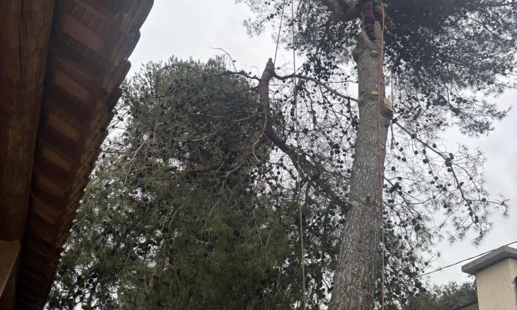 Abattage d'un arbre penchant dangereusement sur une maison à Aix-en-Provence