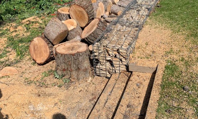 Abattage d'arbre dangereux en urgence à Saint-Cannat