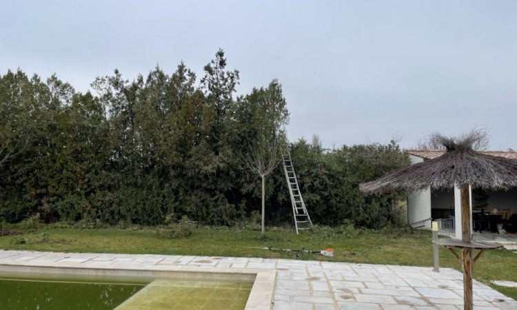 Entretien de jardin avec taille de Haie sur Pertuis