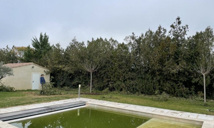 Entretien de jardin avec taille de Haie vers Aix-en-Provence