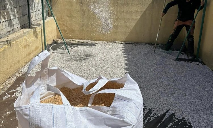 Création et Réhabilitation d'un ancien Terrain de pétanque vers Aix-en-Provence