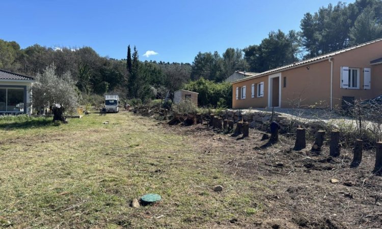 ABATTAGE D'UNE HAIE TROP VOLUMINEUSE SUR VERS AIX-EN-PROVENCEET ALENTOURS