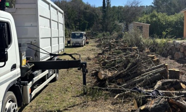 ABATTAGE D'UNE HAIE TROP VOLUMINEUSE SUR VERS AIX-EN-PROVENCE ET ALENTOURS