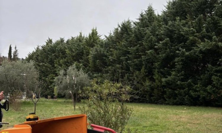 ABATTAGE D'UNE HAIE TROP VOLUMINEUSE SUR VERS AIX-EN-PROVENCEET ALENTOURS